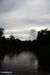 Dusk over the Sekoyner River (Kalimantan, Borneo (Indonesian Borneo)) 