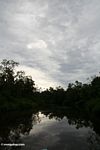 Sunset on the Sekonyer River (Kalimantan, Borneo (Indonesian Borneo)) 
