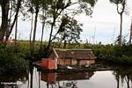 Floating house on the Seikonyer River, with cleared forest area in the background (Kalimantan, Borneo (Indonesian Borneo)) 