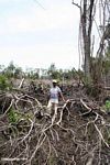 Thomas standing among charred remains of tropical rainforest in Borneo (Kalimantan, Borneo (Indonesian Borneo)) 
