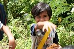 Young boy reaching for bubble (Toraja Land (Torajaland), Sulawesi) 