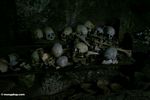 Human remains in cave at Londa Nanggala (Toraja Land (Torajaland), Sulawesi) 