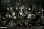Human bones left in cave as traditional burial practice at Londa Nanggala (Toraja Land (Torajaland), Sulawesi) 