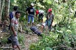 Men preparing to slaughter a pig (Toraja Land (Torajaland), Sulawesi) 