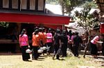 Girls lining up for funeral ceremony (Toraja Land (Torajaland), Sulawesi) 
