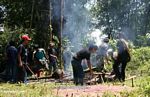 Pig ready for slaughter (Toraja Land (Torajaland), Sulawesi) 