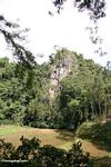 Distant view of cliff tombs at Londa Nanggala (Toraja Land (Torajaland), Sulawesi) 