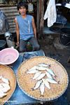 Fish for sale in market at Rantepao (Toraja Land (Torajaland), Sulawesi) 