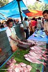 Fish market in Rantepao (Toraja Land (Torajaland), Sulawesi) 