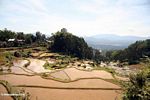 Tiered rice paddies of Batutomonga (Toraja Land (Torajaland), Sulawesi) 