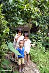 Children in Tikala (Toraja Land (Torajaland), Sulawesi) 