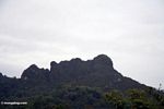 Mountains (Toraja Land (Torajaland), Sulawesi) 