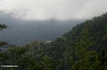 Isolated mountain home in forests of Sulawesi (Sulawesi (Celebes))