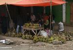 Durian fruit for sale at roadside stall (Sulawesi (Celebes))