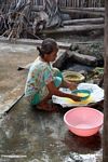 Woman working with material used as yellow dye for silk (Sulawesi (Celebes))