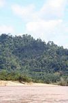 Palm oil plantation along the reddish Tembeling River