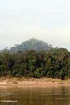 Rainforest covered hills of Taman Negara