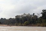 Rain forest and the Tembeling River