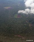Aerial view of burning rain forest