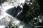 Canopy tower at Posada Amazonas