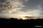 Sun setting over Amazon rainforest